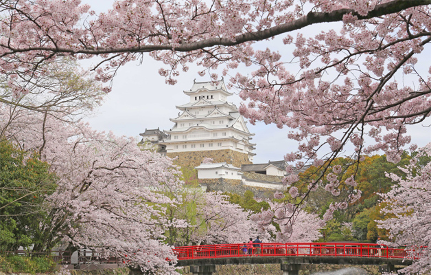 世界文化遺産のある街、姫路で学ぶ