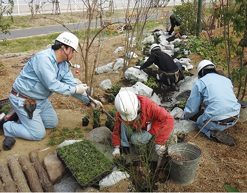 造園インターンシップの現場の様子