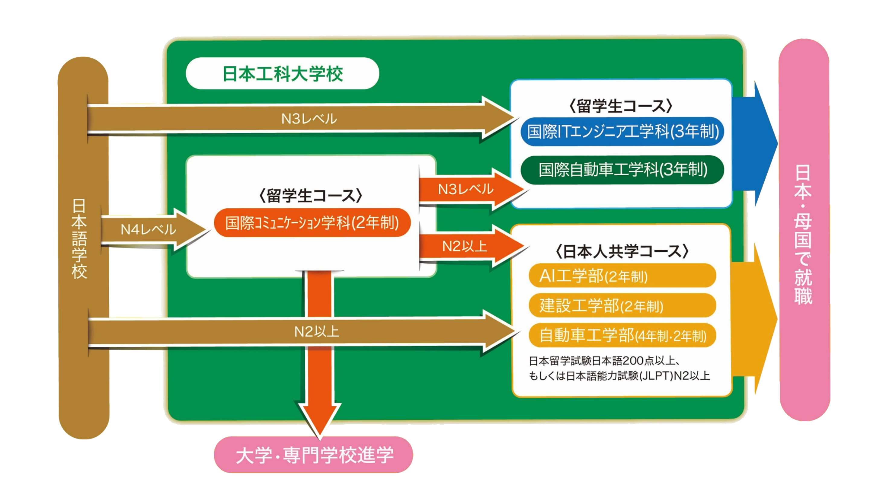 就職や進学の流れ